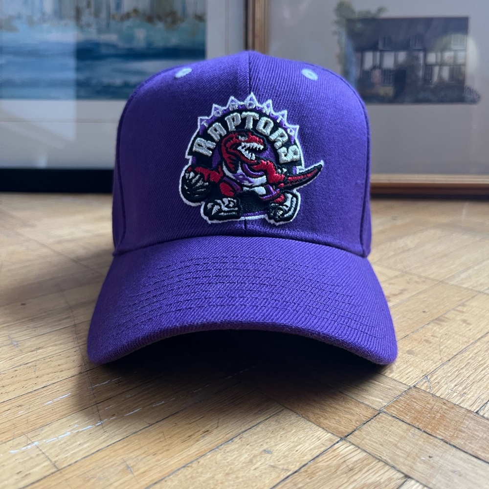 Raptors hat
